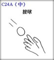 C24A * 216 x 236 * (7KB)